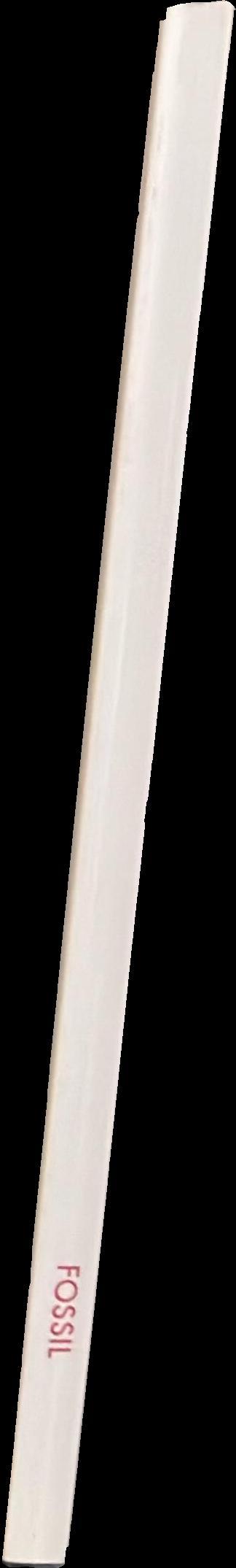 Fossil spine
