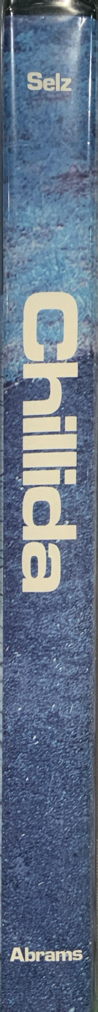 Chillida spine