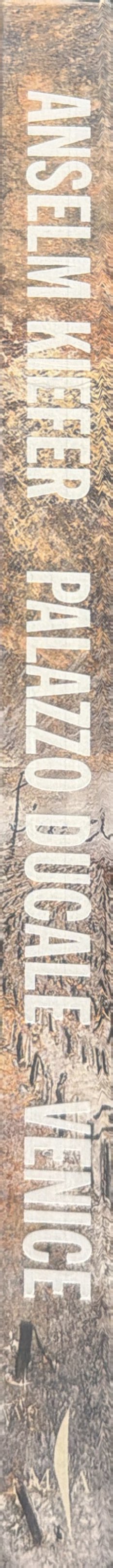 Anselm Kiefer : questi scritti, quando verranno bruciati, daranno finalmente up po' di luce (Andrea Emo) spine
