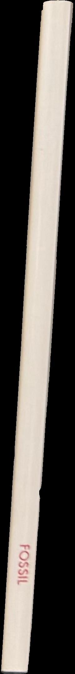 Fossil spine