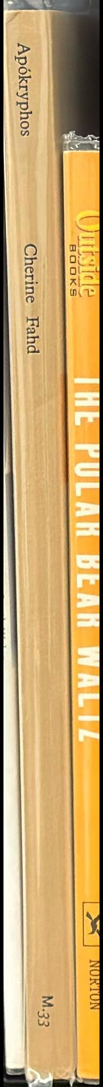 Apókryphos / Cherine Fahd spine