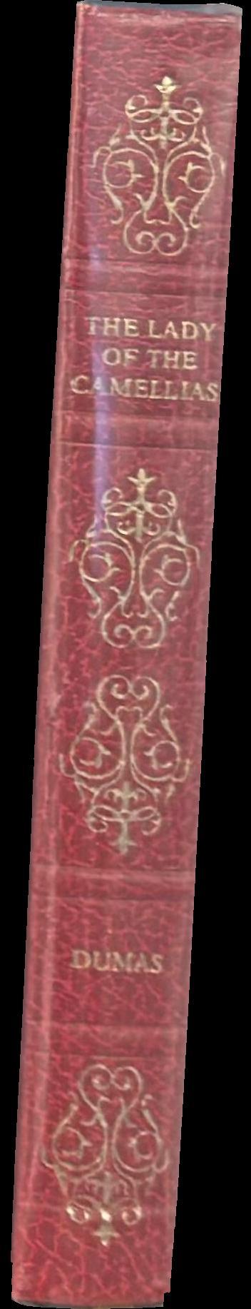 The lady of the camellias spine
