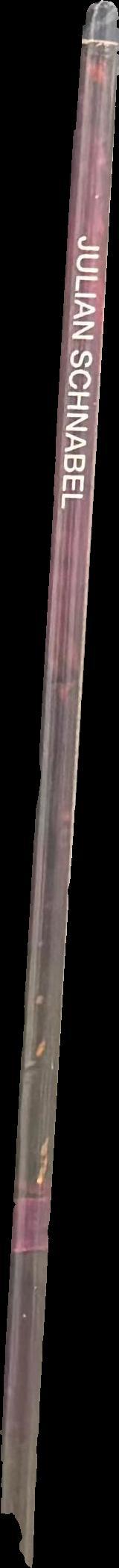 Julian Schnabel spine