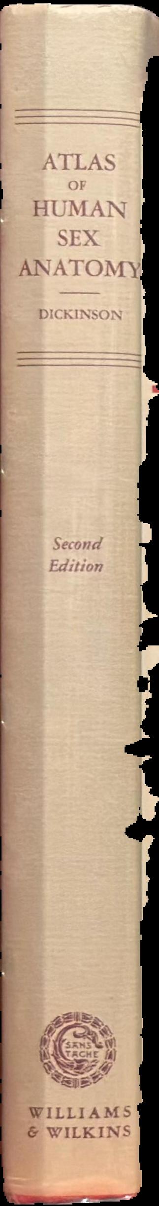 Atlas of human sex anatomy spine