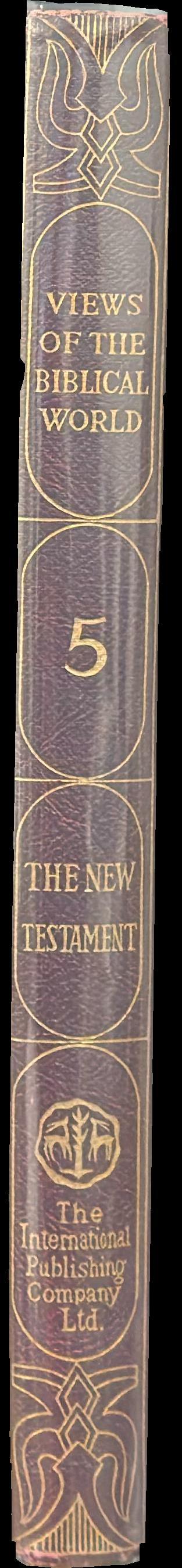 The new testament spine