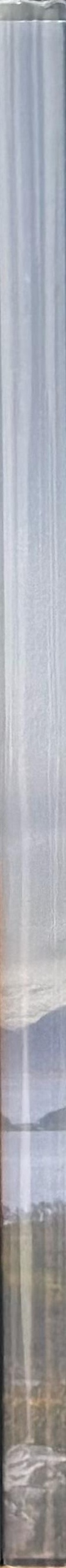 John Akomfrah spine