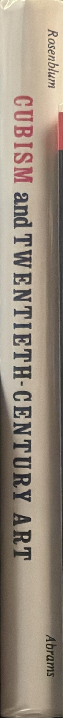 Cubism and twentieth-century art spine