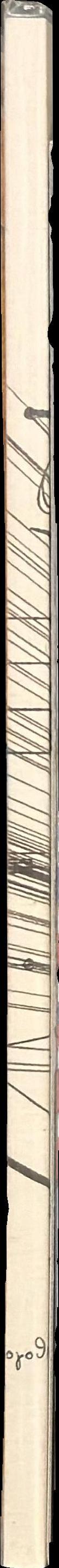 The score spine