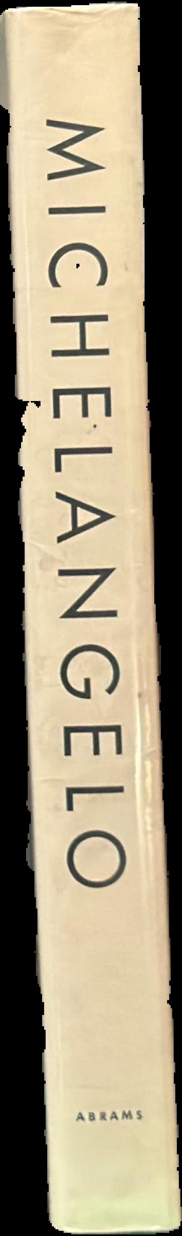 Michelangelo : Michelangelo Buonarroti spine