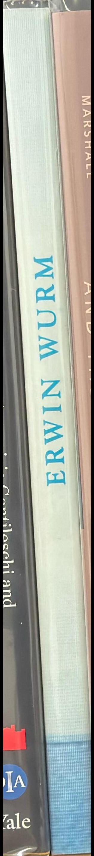 Erwin Wurm spine