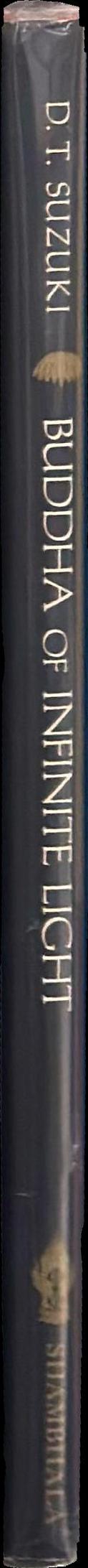 Buddha of infinite light spine