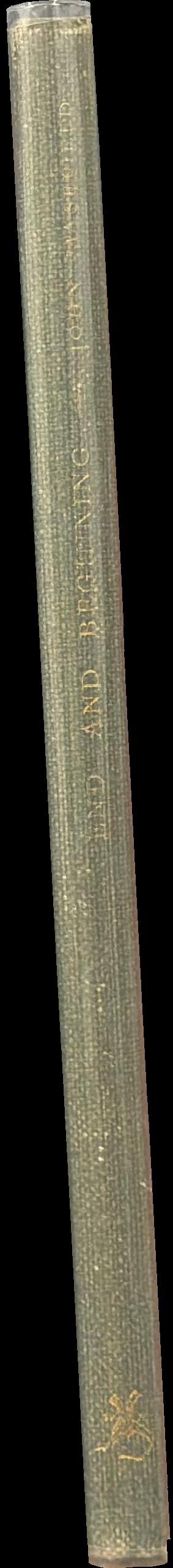 End and beginning spine