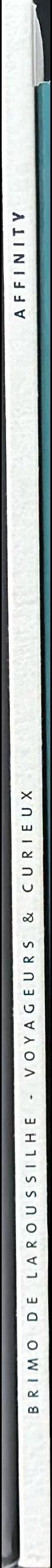 Affinity : Medieval and South Pacific art spine