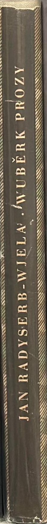 Wuběrk prozy spine
