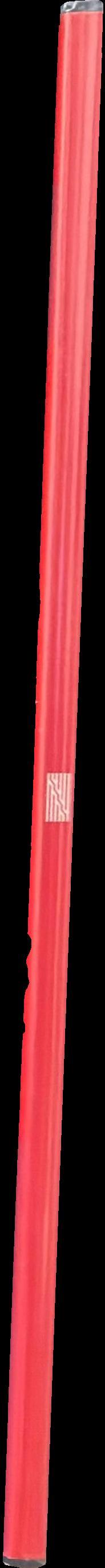 1905-1970 : l'exposition = the exhibition spine