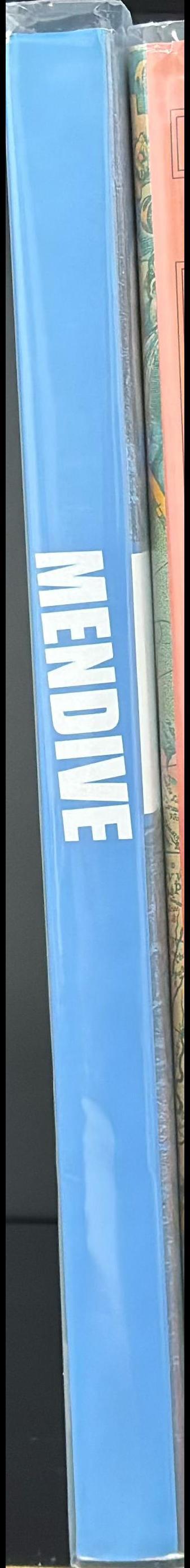 Mendive spine
