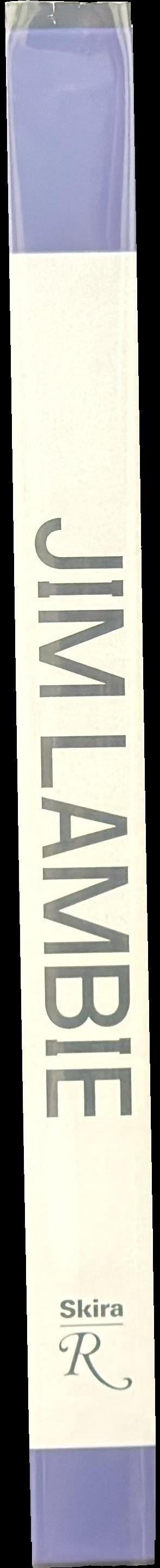 Jim Lambie spine