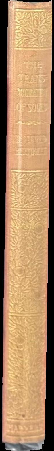 The transmigration of souls spine