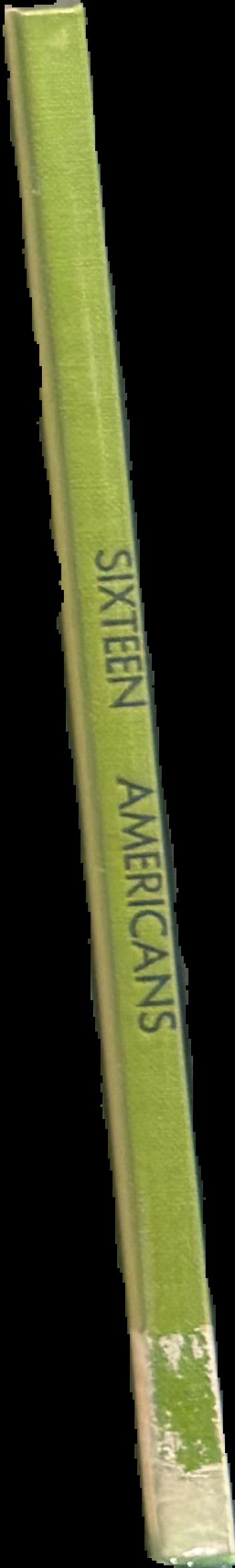 Sixteen Americans spine