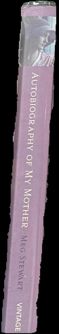 Autobiography of my mother spine