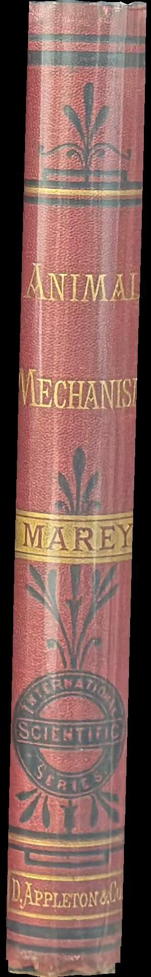 Animal mechanism : a treatise on terrestrial and aerial locomotion / by E. J. Marey spine
