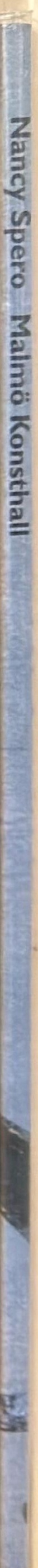 Nancy Spero spine
