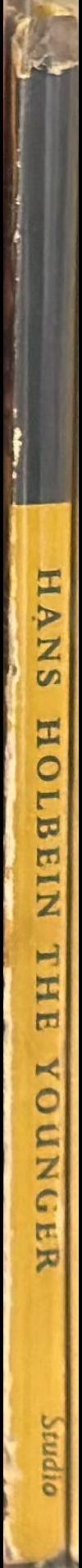 Hans Holbein the Younger spine