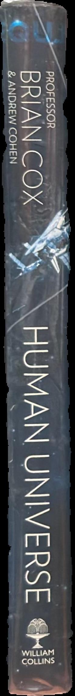 Human universe spine