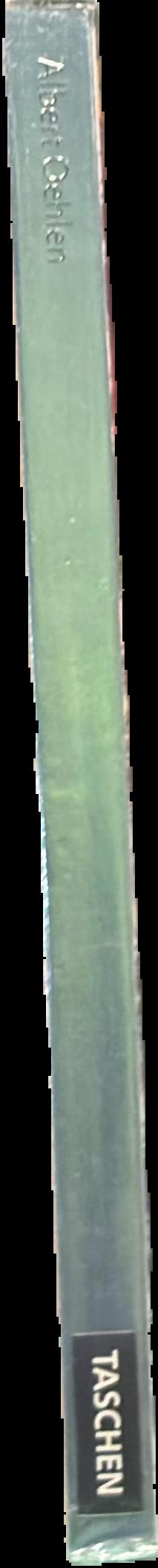 Albert Oehlen spine