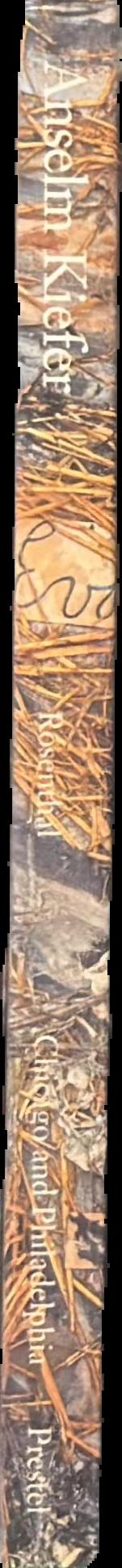 Anselm Kiefer spine