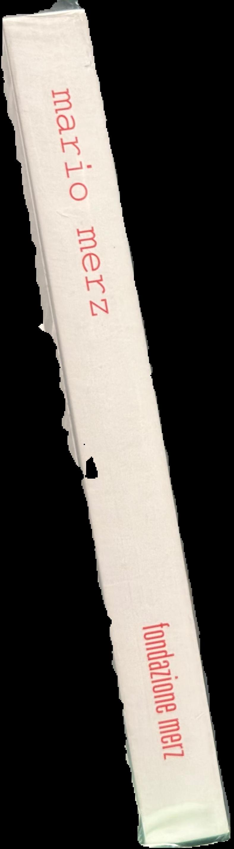 Mario Merz spine