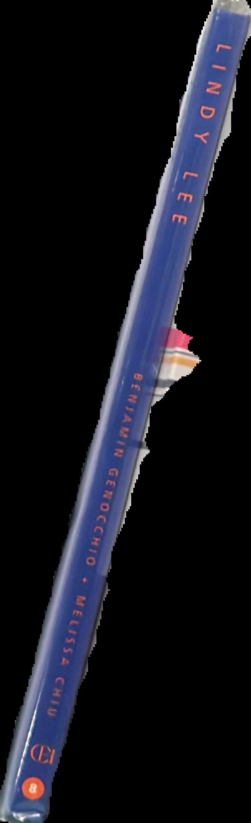 Lindy Lee spine