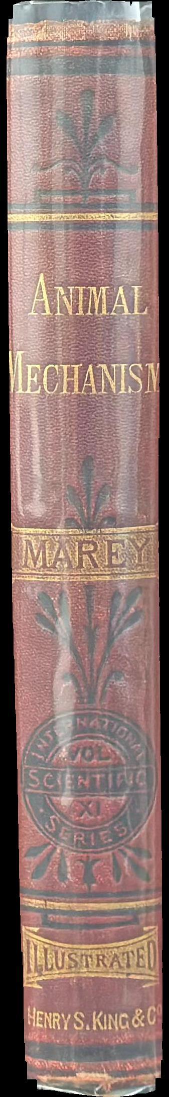Animal mechanism : a treatise on terrestrial and aerial locomotion / by E. J. Marey spine