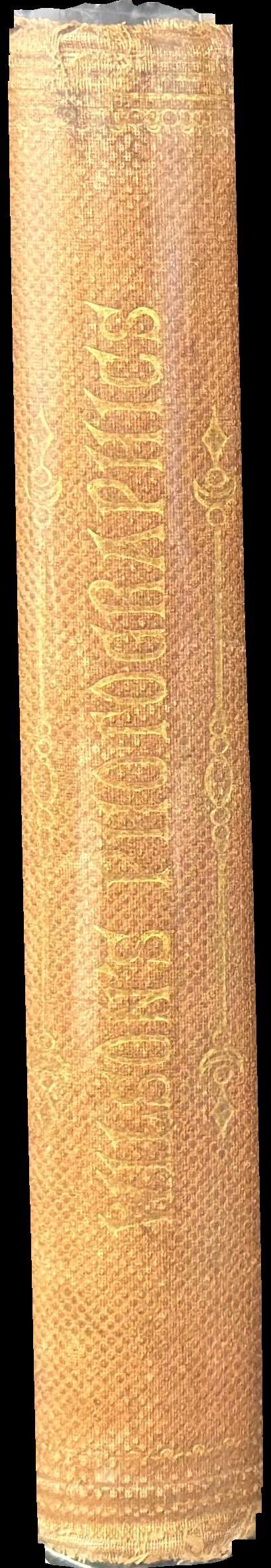 Wilson's photographics : a series of lessons, accompanied by notes, on all the processes which are needful in the art of photography spine