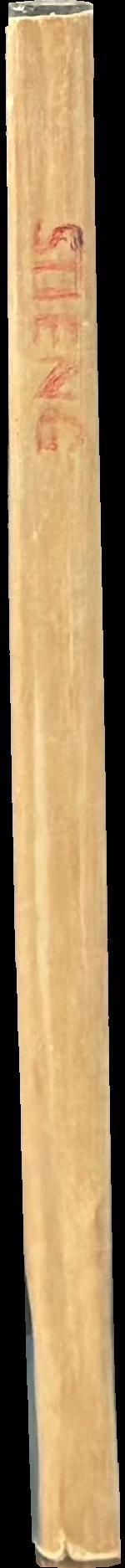 Stieng 4 spine