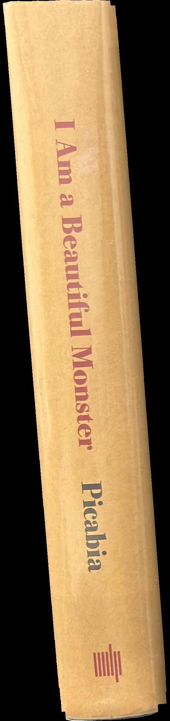 I am a beautiful monster : poetry, prose, and provocation spine