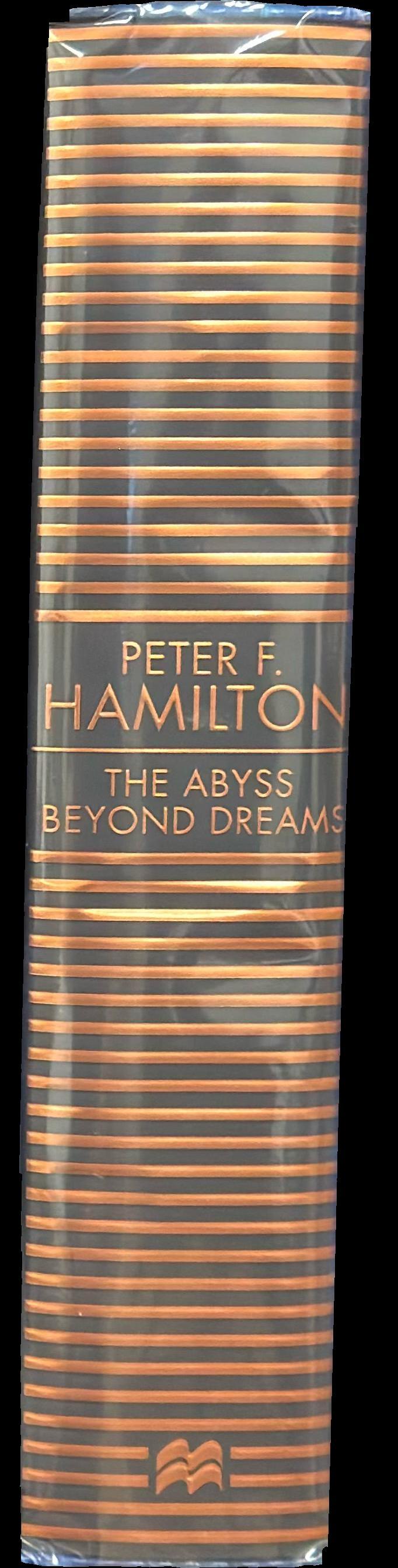 The abyss beyond dreams : chronicle of the fallers spine