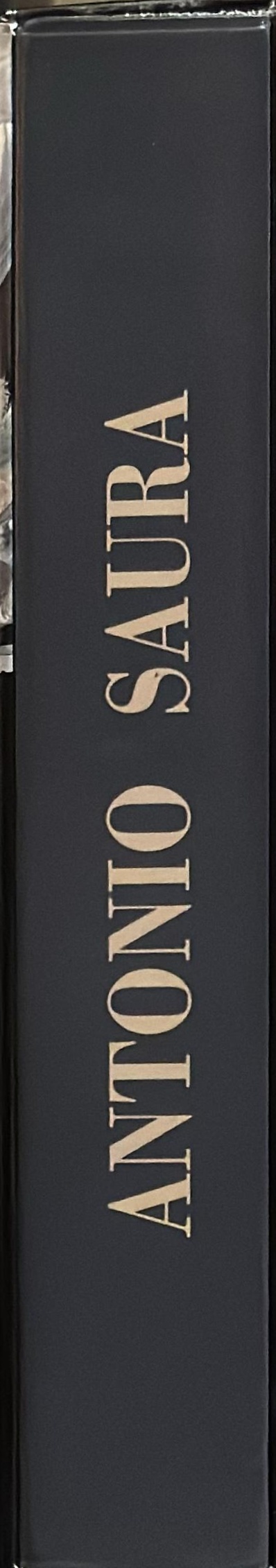 Antonio Saura spine