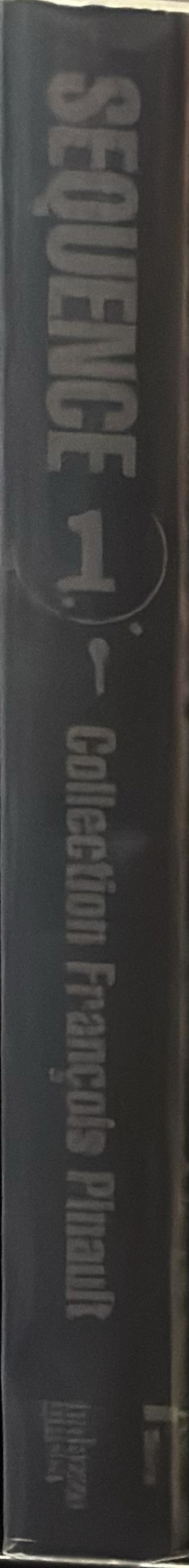 Sequence 1 : painting and sculpture in the Francois Pinault Collection spine