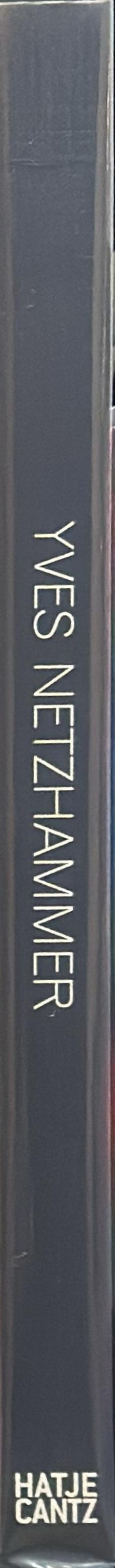 Yves Netzhammer spine