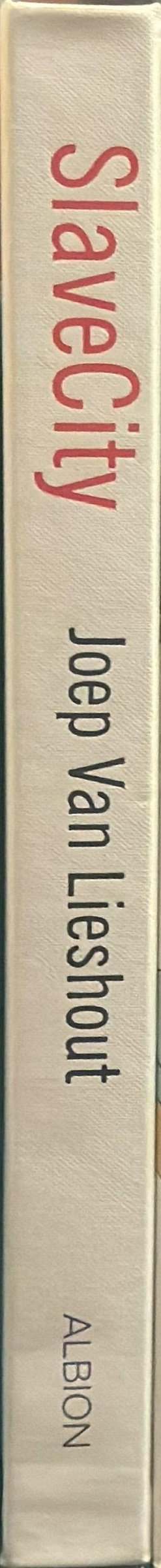 SlaveCity spine
