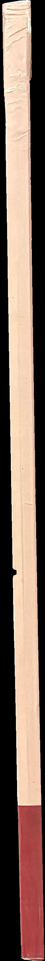 Anthropoid clay coffins : catalogue general of Egyptian antiquities in the Cairo Museum : nos. 17037-17091, 7127-7129 spine