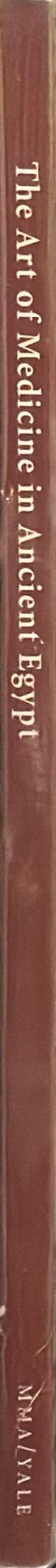 The art of medicine in ancient Egypt spine
