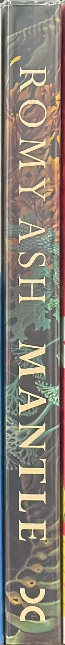Mantle : a novel spine