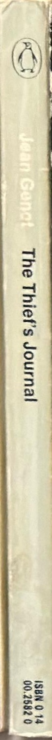 The thief's journal spine