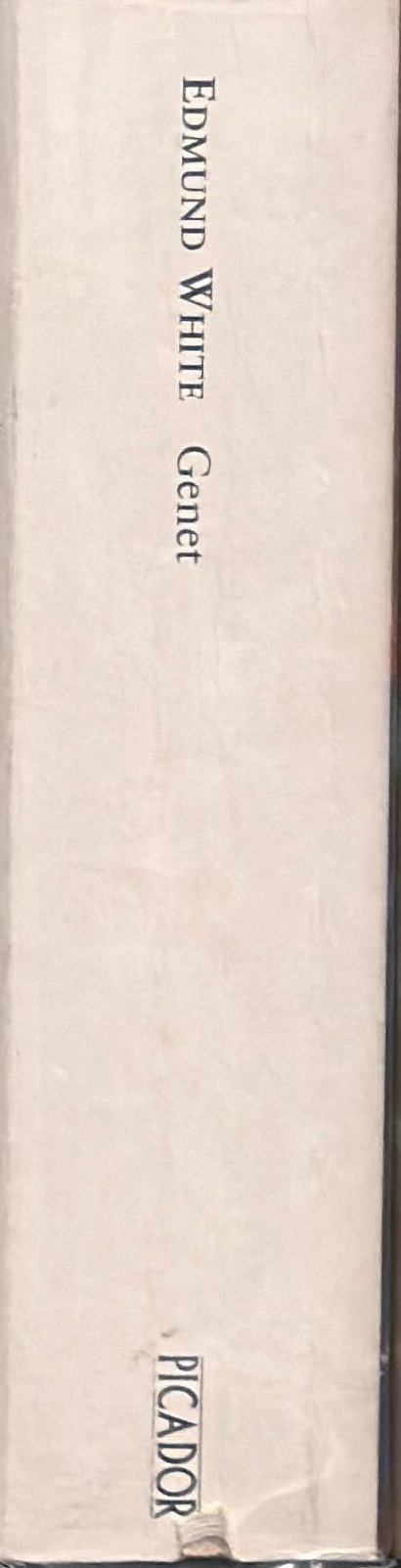 Genet spine