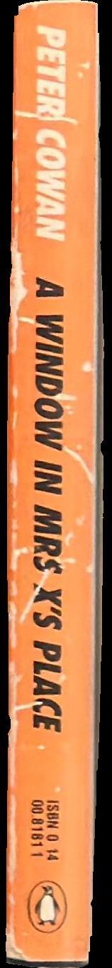 A window in Mrs X's place spine