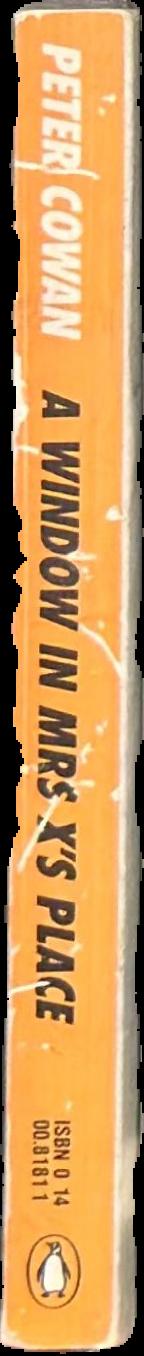A window in Mrs X's place spine