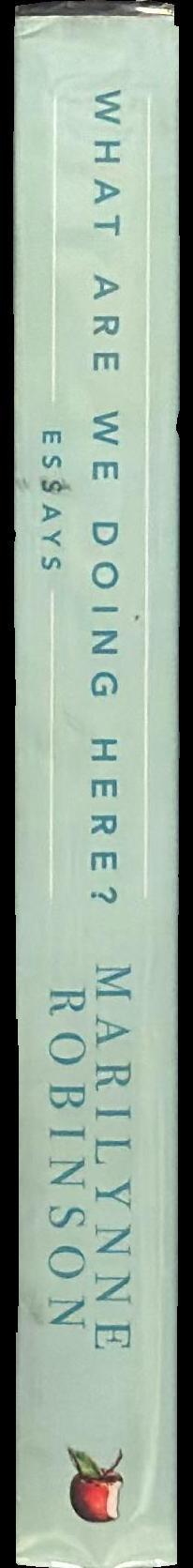 What are we doing here? : essays spine