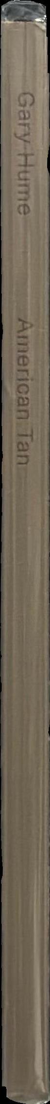 Gary Hume : American tan spine